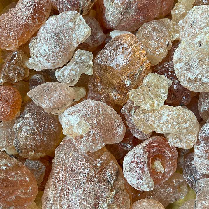 Gomme arabique : mode d'emploi complet (dilution, forme, conservation)