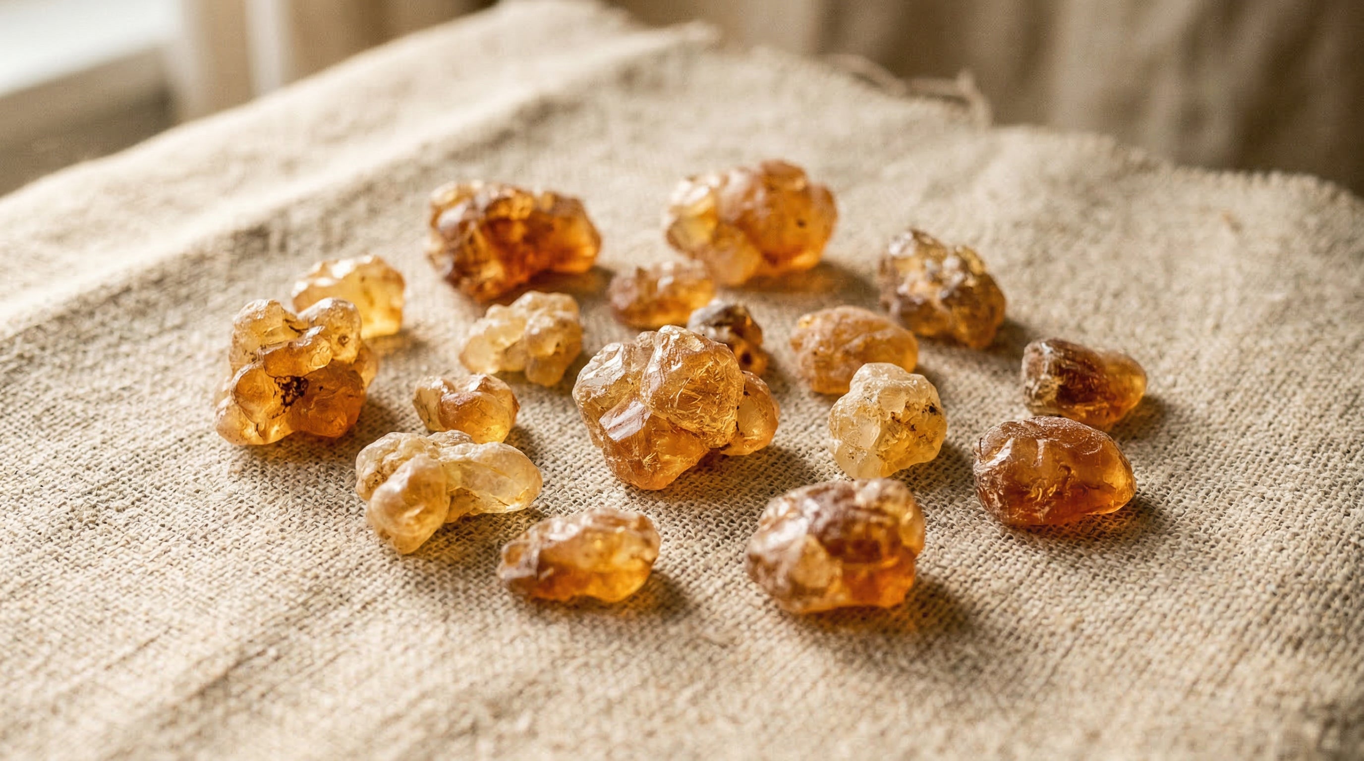 La Gomme Arabique en Mauritanie