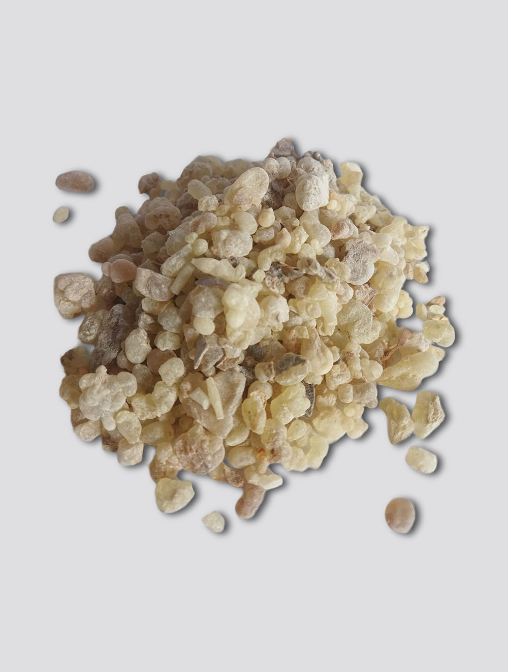 Chewable Frankincense: Benefits, Taste, Uses, and Where to Buy It [2026 Guide]