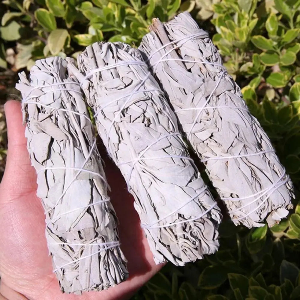 White sage (10cm)