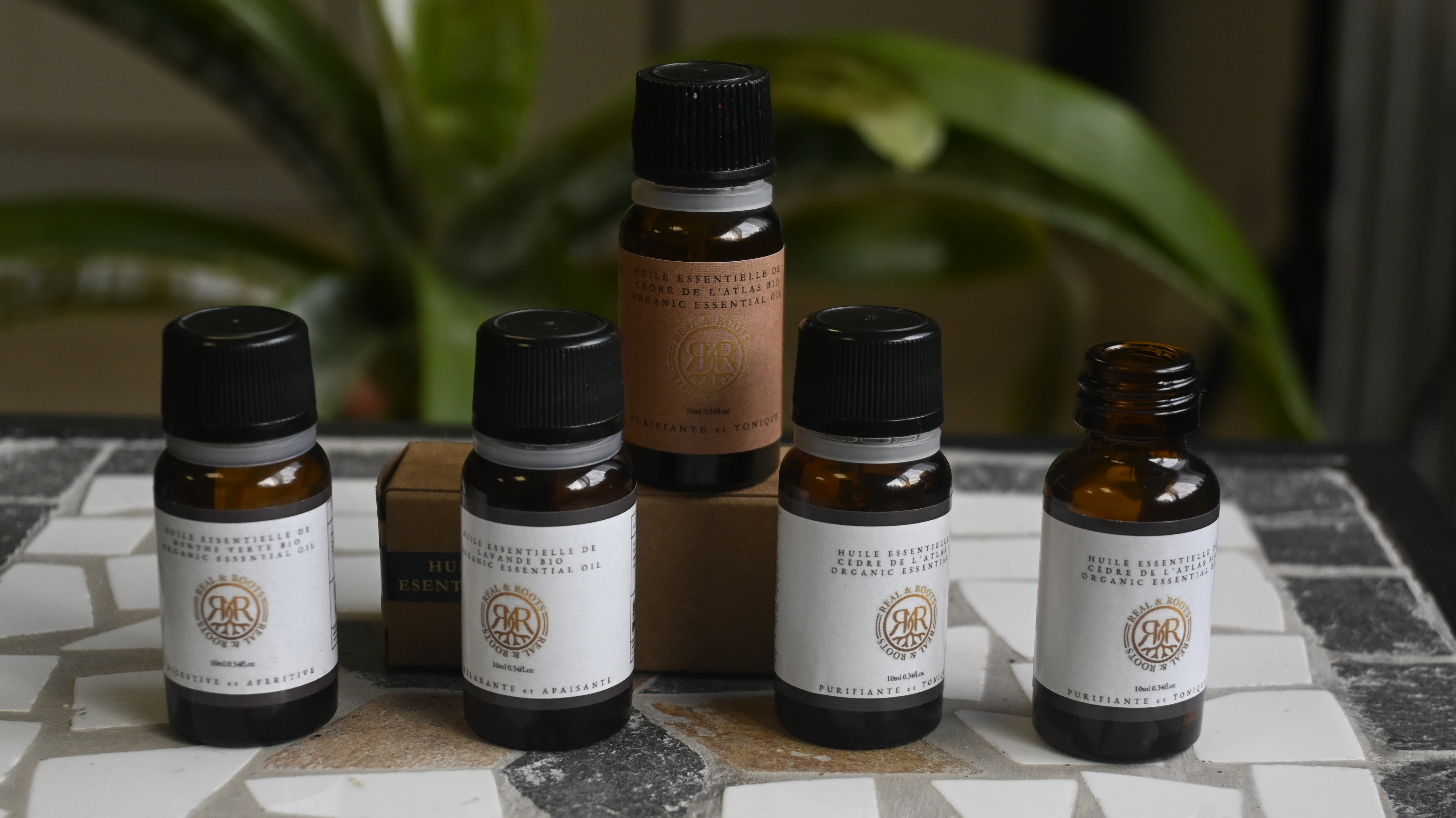 Atlas Cedar Essential Oil