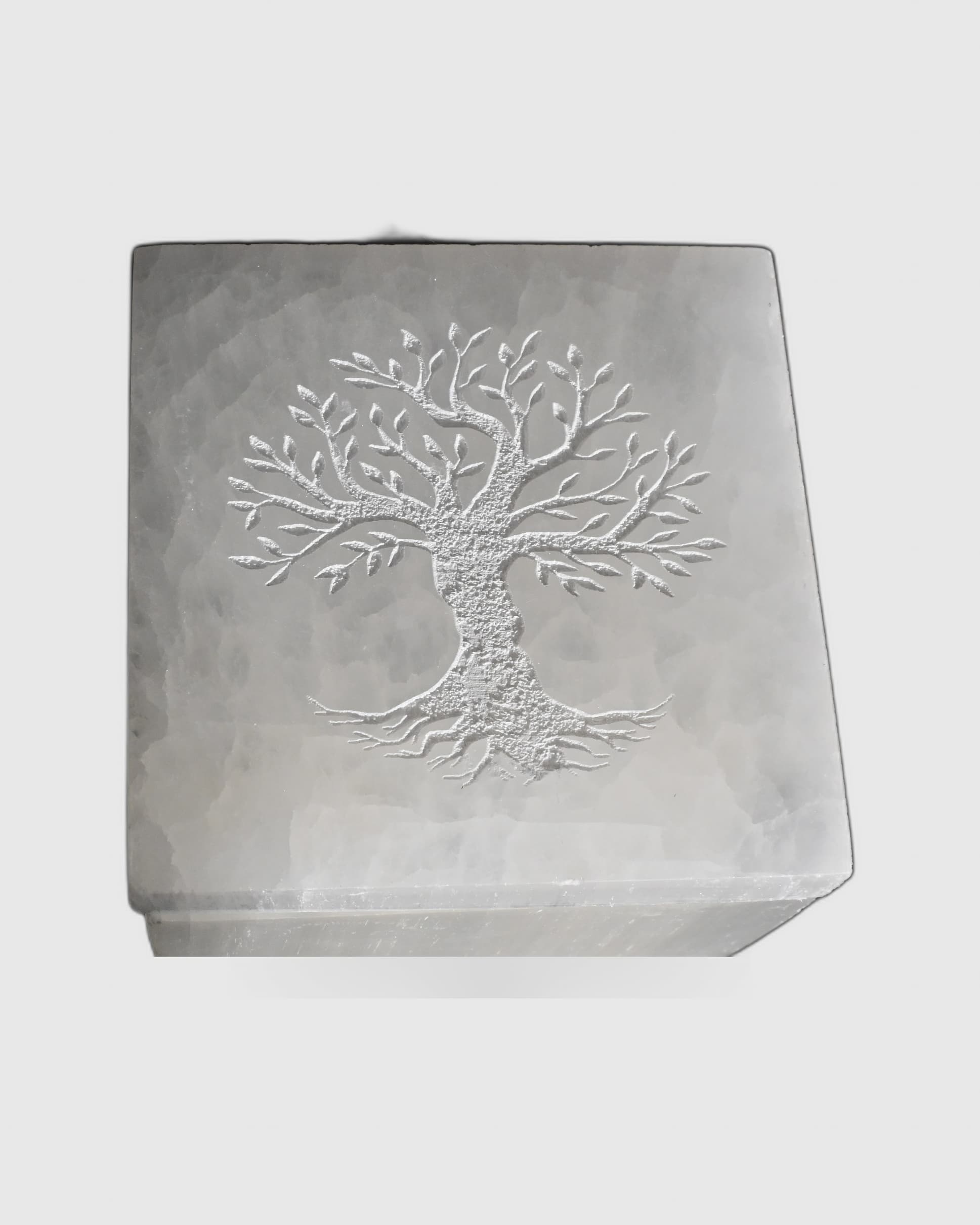 Arbre de Vie, bloc de sélénite de Midelt | Real & Roots